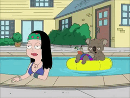 American Dad GIF
