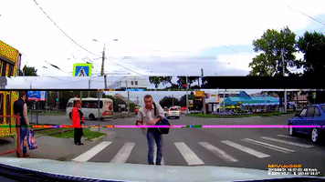 Autã³ Ã¡Llat GIF