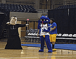 dance mascots GIF by St. Mary's University