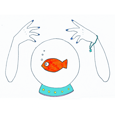 giphy.gif?cid=3640f6095c49939078554a454d