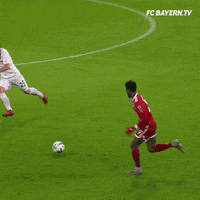 kingsley coman lol GIF by FC Bayern Munich