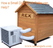 How A Small Dog Shock Collar Can Help? GIF