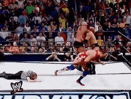 the rock GIF by WWE