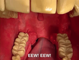 200.gif?cid=fc005b08b296928b8484cc3230daf78d552c141b94707a27&rid=200.gif&ct=g