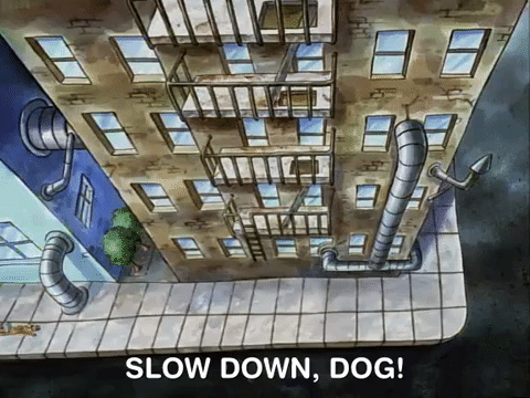 Down-dog GIFs - Get the best GIF on GIPHY