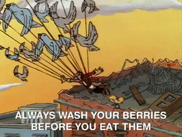 Hey Arnold Nickelodeon GIF