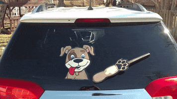 dogs pet GIF by WiperTags