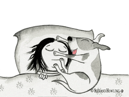 Time For Bed Love GIF by Red & Howling