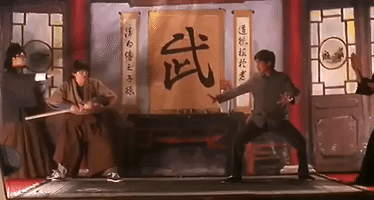 kung fu GIF