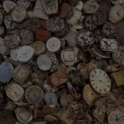 Regnum Christi Legionarios De Cristo GIF