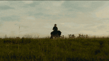 Denzel Washington Movie GIF by The Magnificent Seven