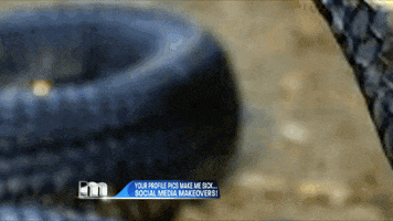 snake GIF by The Maury Show