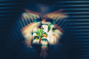 lvcthelabel lvc laurenvictoriacraig lvcthelabel GIF