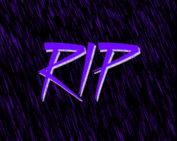 Prince Rip GIF