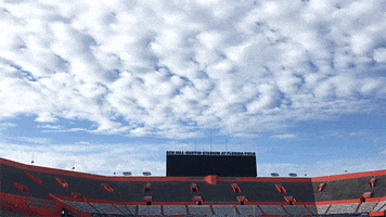 college football sky GIF by University of Florida