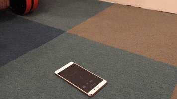 200.gif?cid=fc005b08101d4b99b431b8ba44a6423995d516015346203d&rid=200.gif&ct=g