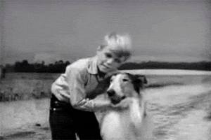 200.gif