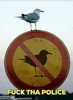 fuck the police GIF by Nick