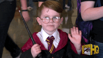 Harry Potter Cosplay GIF by cchq