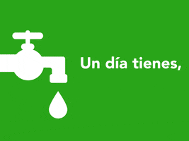verde mexico verde ecologista GIF