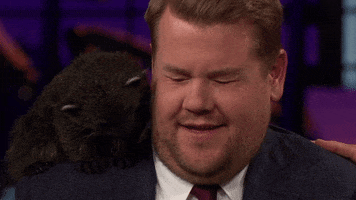 james corden cuddle GIF by The Late Late Show with James Corden
