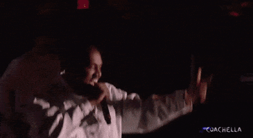 GIF by Coachella