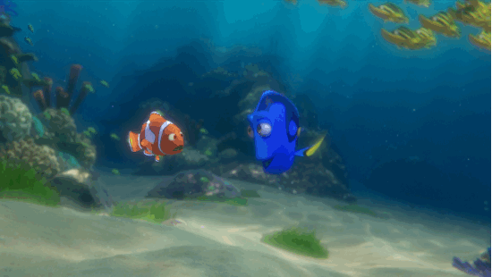 Finding Dory Disney GIF by Disney/Pixar's Finding Dory