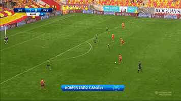maciejrogowski  GIF