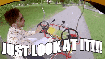 cmt look at it GIF by The Ed Bassmaster Show