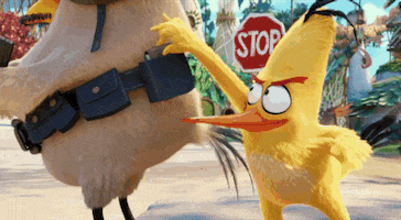 steeling the angry birds movie GIF by Angry Birds