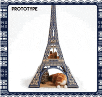 cat landmarks GIF by Product Hunt