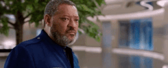 mypublicist  GIF