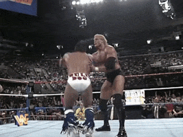 Sid Vicious Wrestling GIF by WWE