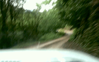 Slavanazdarvyletu georgia batumi slava nazdar vyletu gruzie GIF