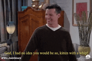jack mcfarland i had no idea you would be so kitten with a whip GIF by Will & Grace