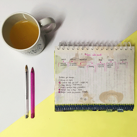 elizabethalbornozn #process #proceso #marca #brand #diseÃ±adoragrÃ¡fica #diseÃ±adoramexicana GIF