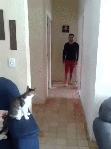 rickhuaynate  GIF