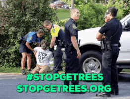 GJEPgifs gmo genetically engineered trees #stopgetrees stopgetrees.org GIF