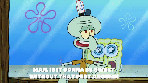 spongebob season 9 torrent spongebob season 9 torrent