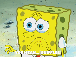 200.gif?cid=fc005b083a25a8470285c5a9a00deef003a0a95cc0e81f5d&rid=200.gif&ct=g