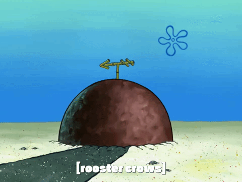 Season 7 Growth Spout GIF by SpongeBob SquarePants - Find & Share on GIPHY