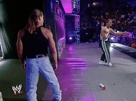 shawn michaels dx GIF by WWE