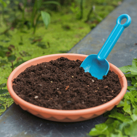 myfairygarden myfairygarden fairygarden GIF