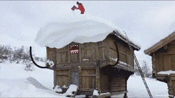 giflinecom  GIF