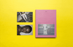 claraferrero gucci book GIF