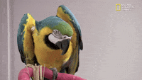 200w.gif