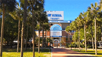 palm trees stadium GIF by University of Florida