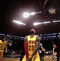 Lebron James GIF by NBA