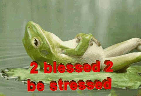 Too Blessed To Be Stressed GIFs - Get the best GIF on GIPHY