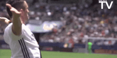 Robbie Keane Soccer GIF by LA Galaxy